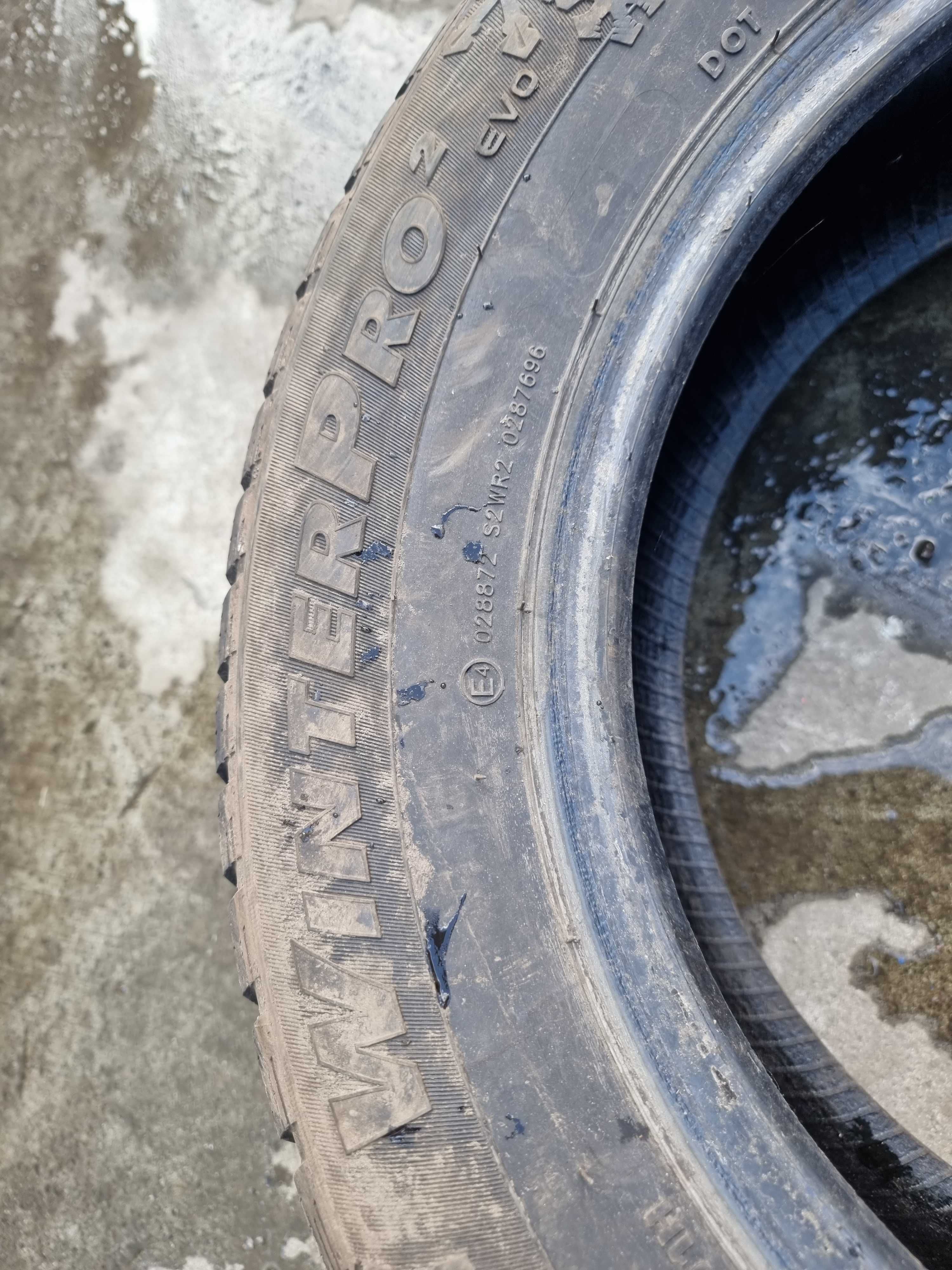 Opona 195/65/15 2023 r. GT Radial WinterPro 2 Evo DOT 2123 7,0 mm