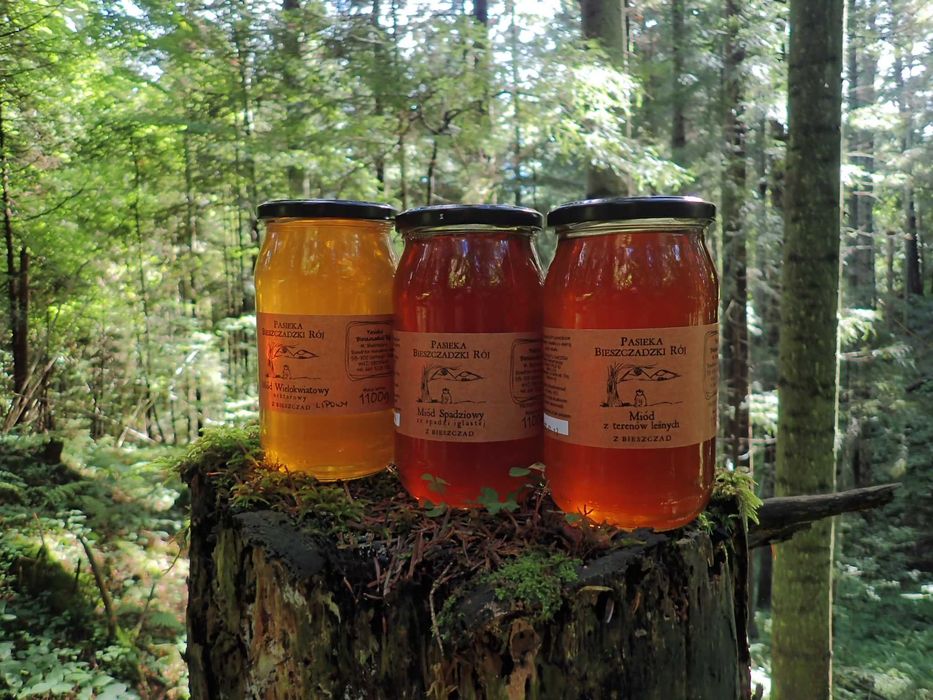 Miód leśny-bieszczadzki