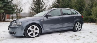 Audi A3 8p 2.0 TFSI