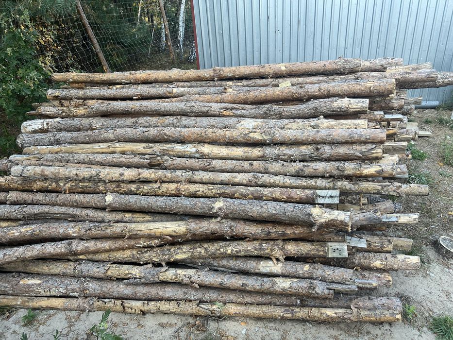 Stemple budowlane szt.ok.220