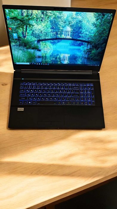 Ігровий ноутбук Clevo NH77HP 17.3" 144 i7-11800H/16Gb/1000SSD/RTX3060