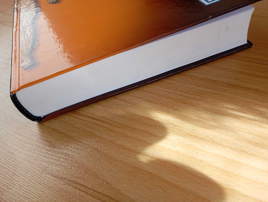 Anatomia humana da relação