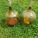 Balony gąsiory na wino