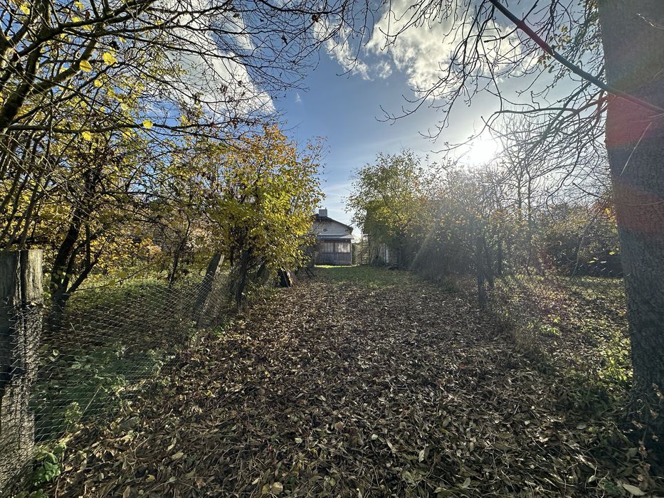 Продається будинок в с. Розношинці (біля м. Збараж) продаж земельна