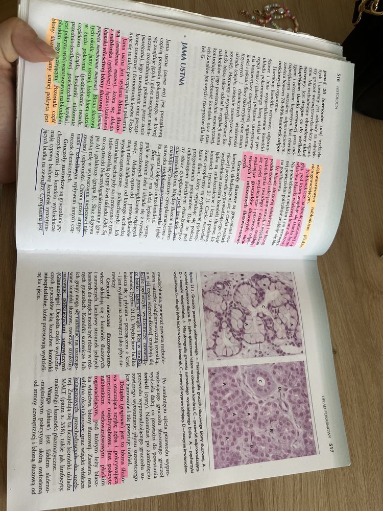 Histologia Sawicki i Malejczyk