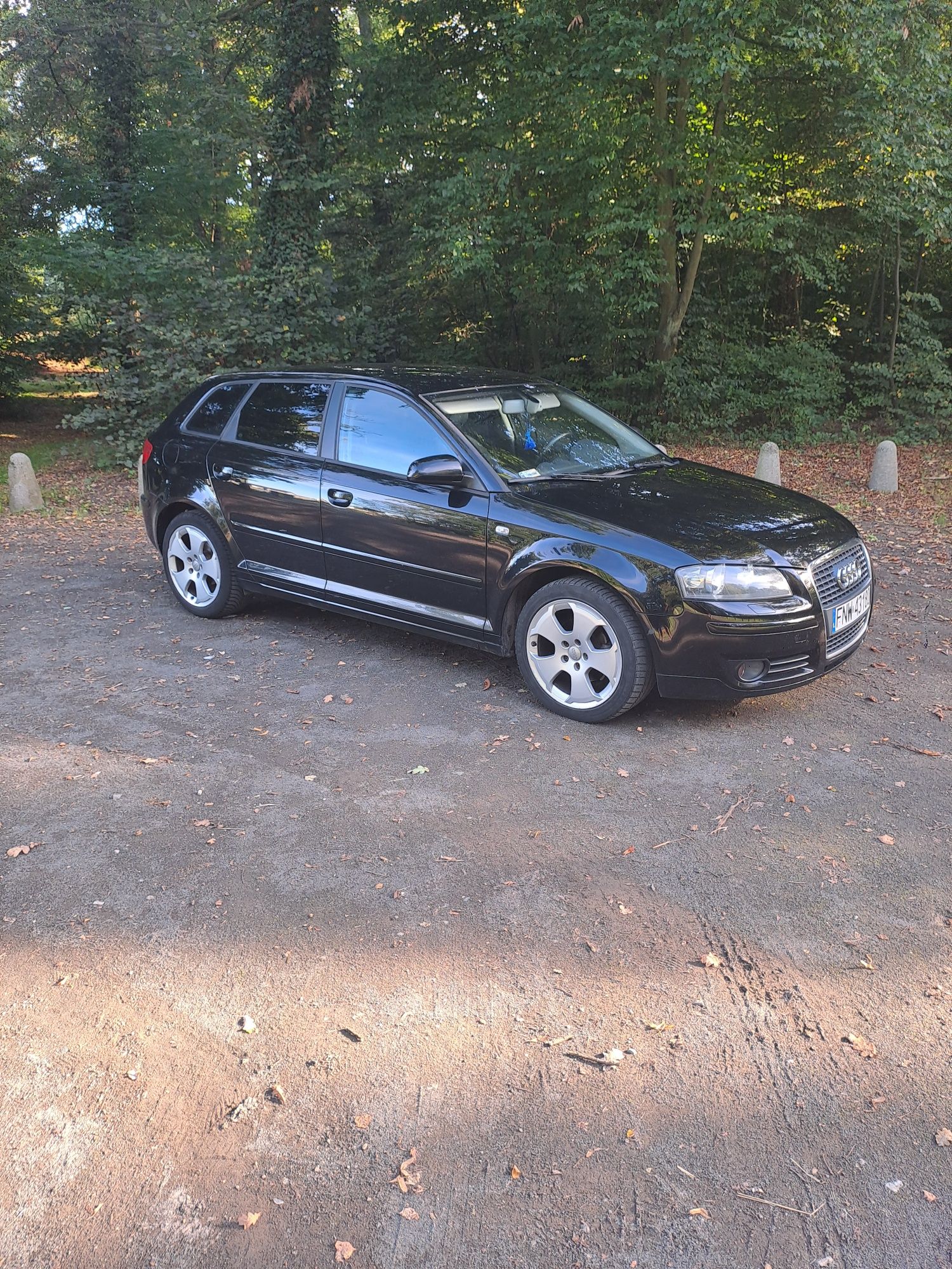 Sprzedam Audi a3.8p.1.9tdi.105km.2005r klimatronik aktualne