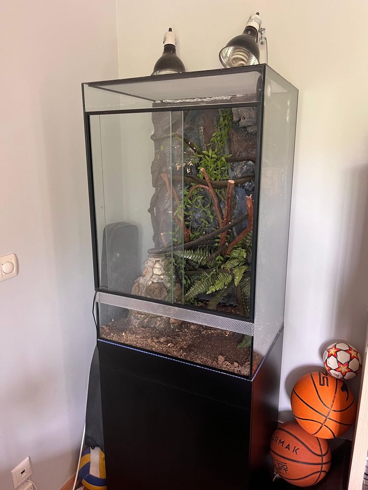 Terrário completo para reptil