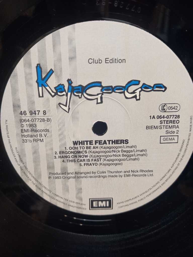 KajaGooGoo – White Feathers, płyta winylowa
