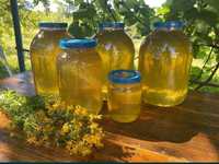 Продам свежий мёд 2023 год разнотравье со своей пасеки.