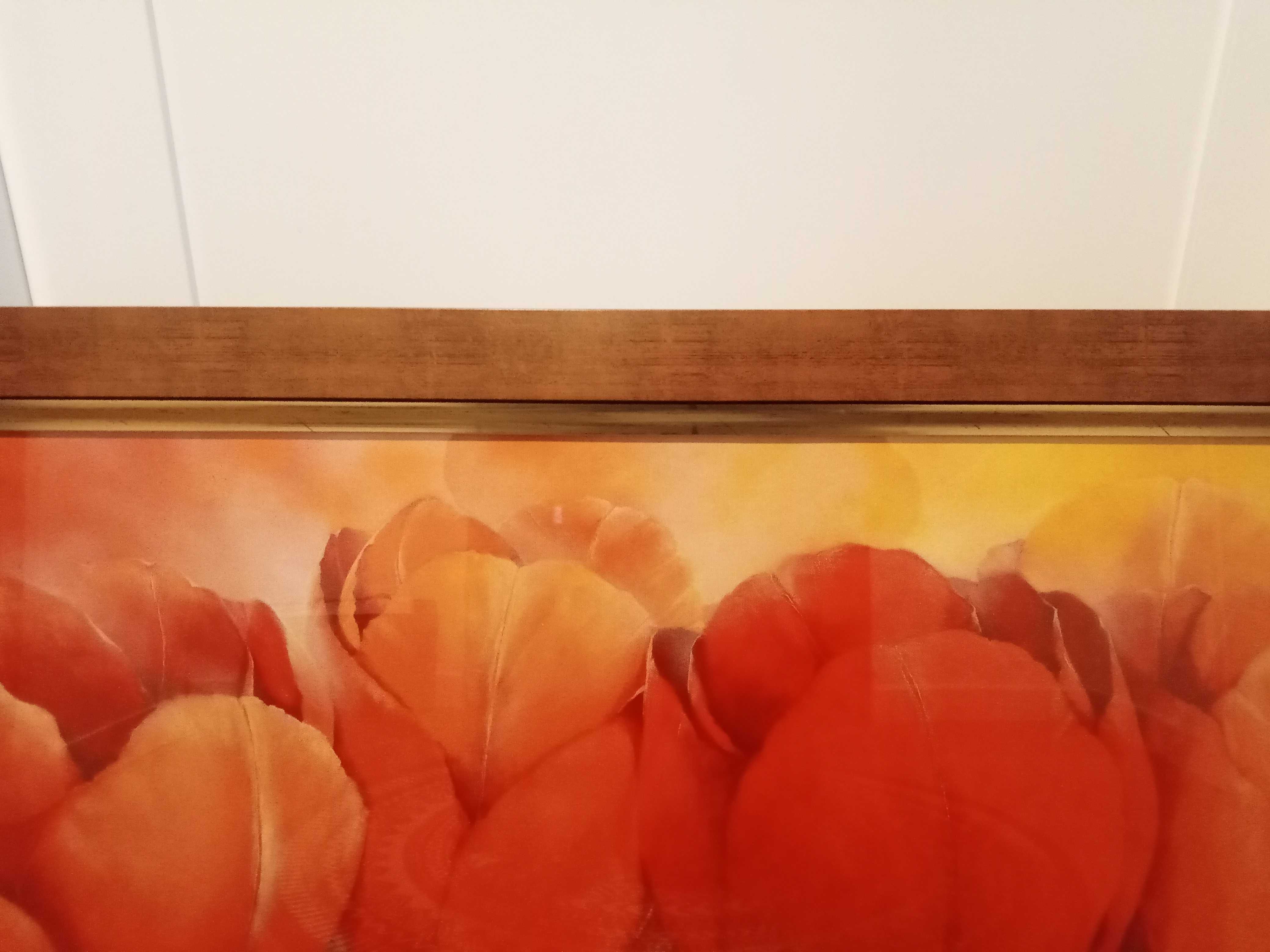 Obraz tulipany w Pięknej ramie