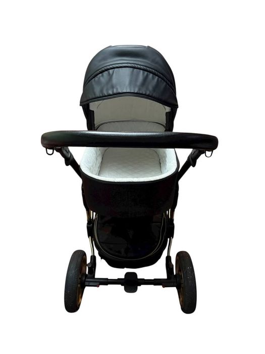 Коляска 2 в 1 Adamex