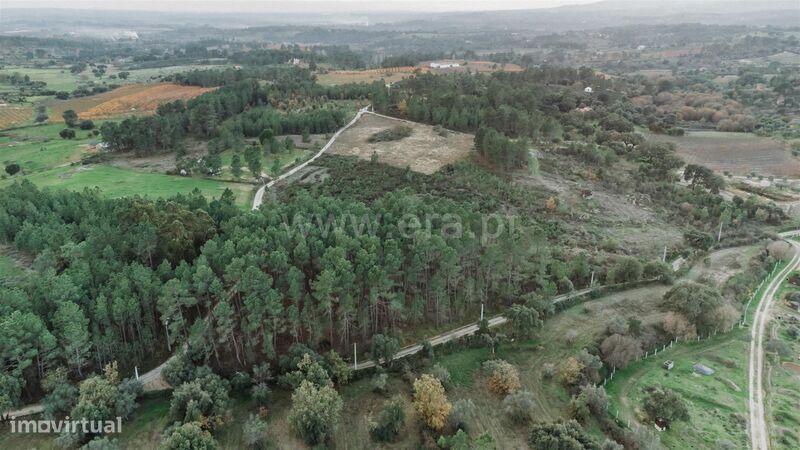 Terreno / Fundão, Monte Leal