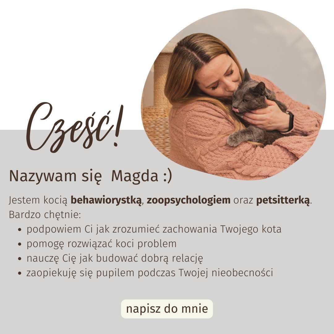 zaKOTwiczeni - Koci Zoopsycholog, Behawiorysta, Petsitter,