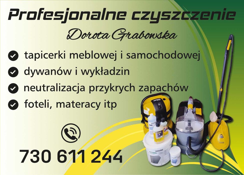 Profesjonalne Czyszczenie
