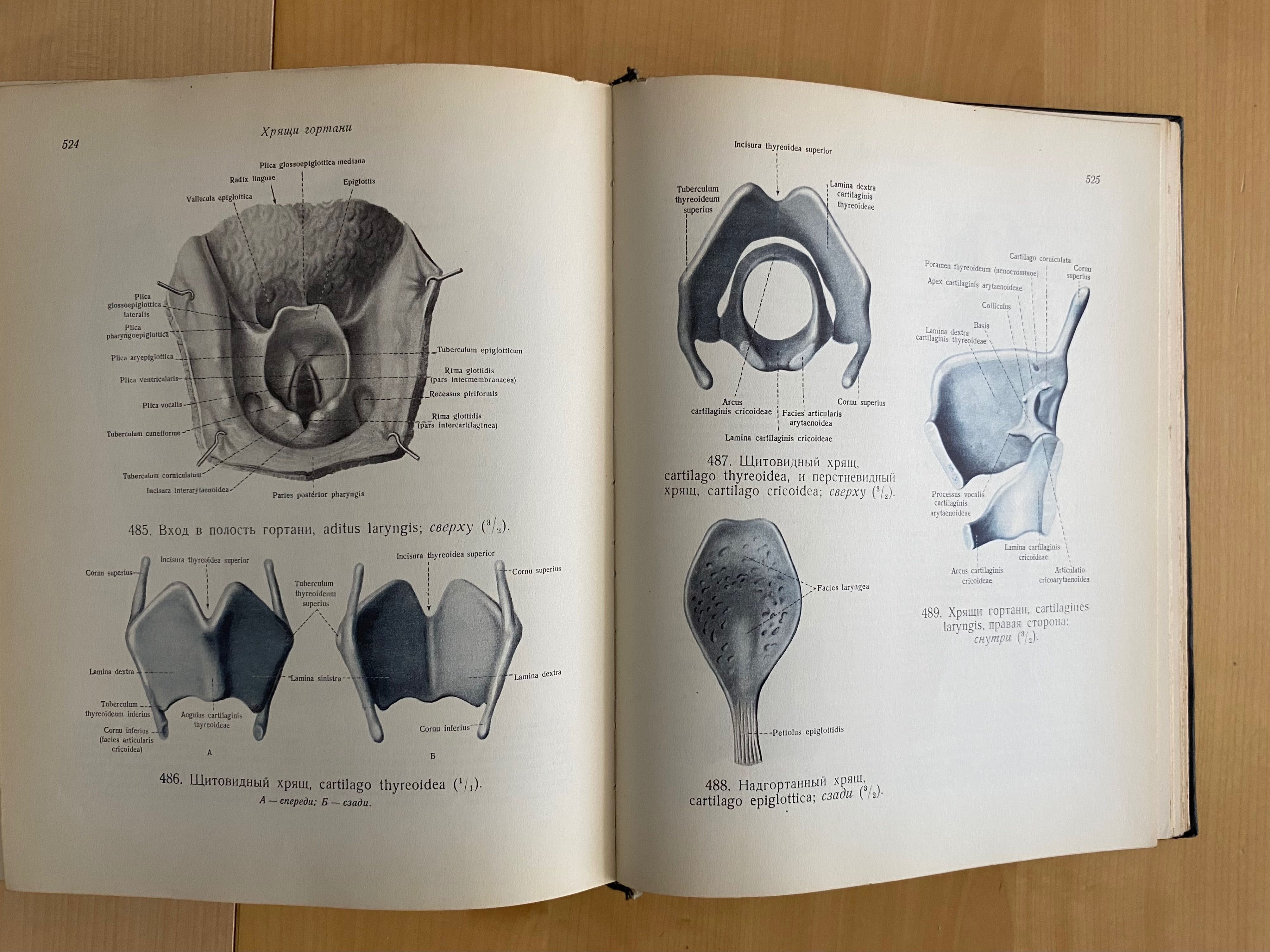 Atlas anatomii człowieka Sinielnikow Tom 1