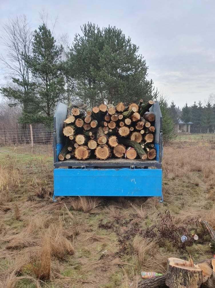 Rębak zrębkowanie utylizacja gałęzi Mielenie czyszczenie wycinka drzew