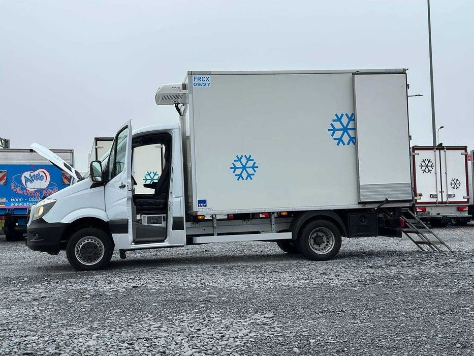 Mercedes-Benz Sprinter 2016p. Мясник