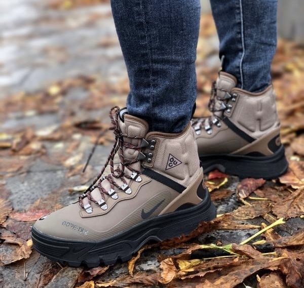 Чоловічі черевики Nike ACG Air Zoom Gaiadome Gore-Tex