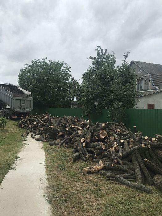 Дрова: дуб, акація та ясен