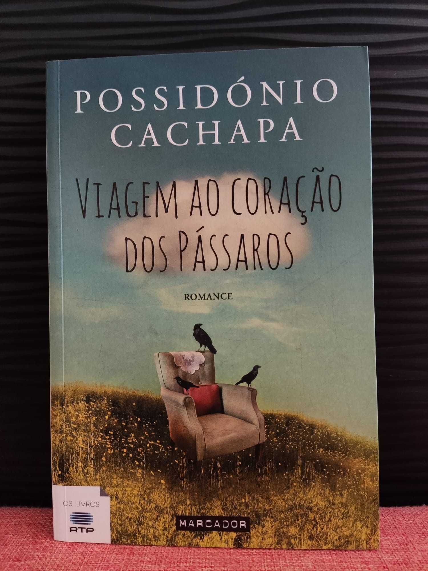 Viagem ao Coração dos Pássaros