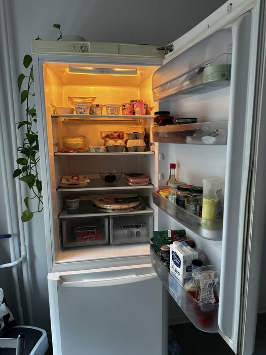 Lodówka Chłodziarko-zamrażarka Indesit BAAN 13L