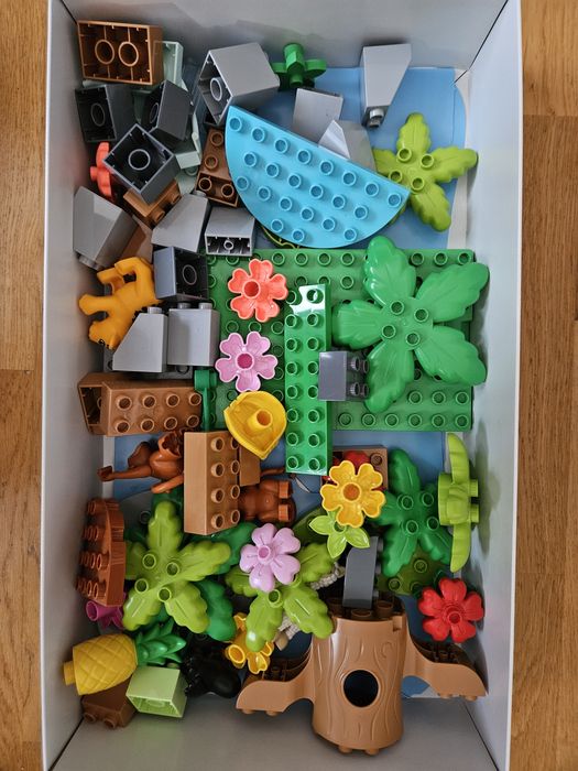 Lego duplo Dzikie zwierzęta Ameryki Południowej 10973