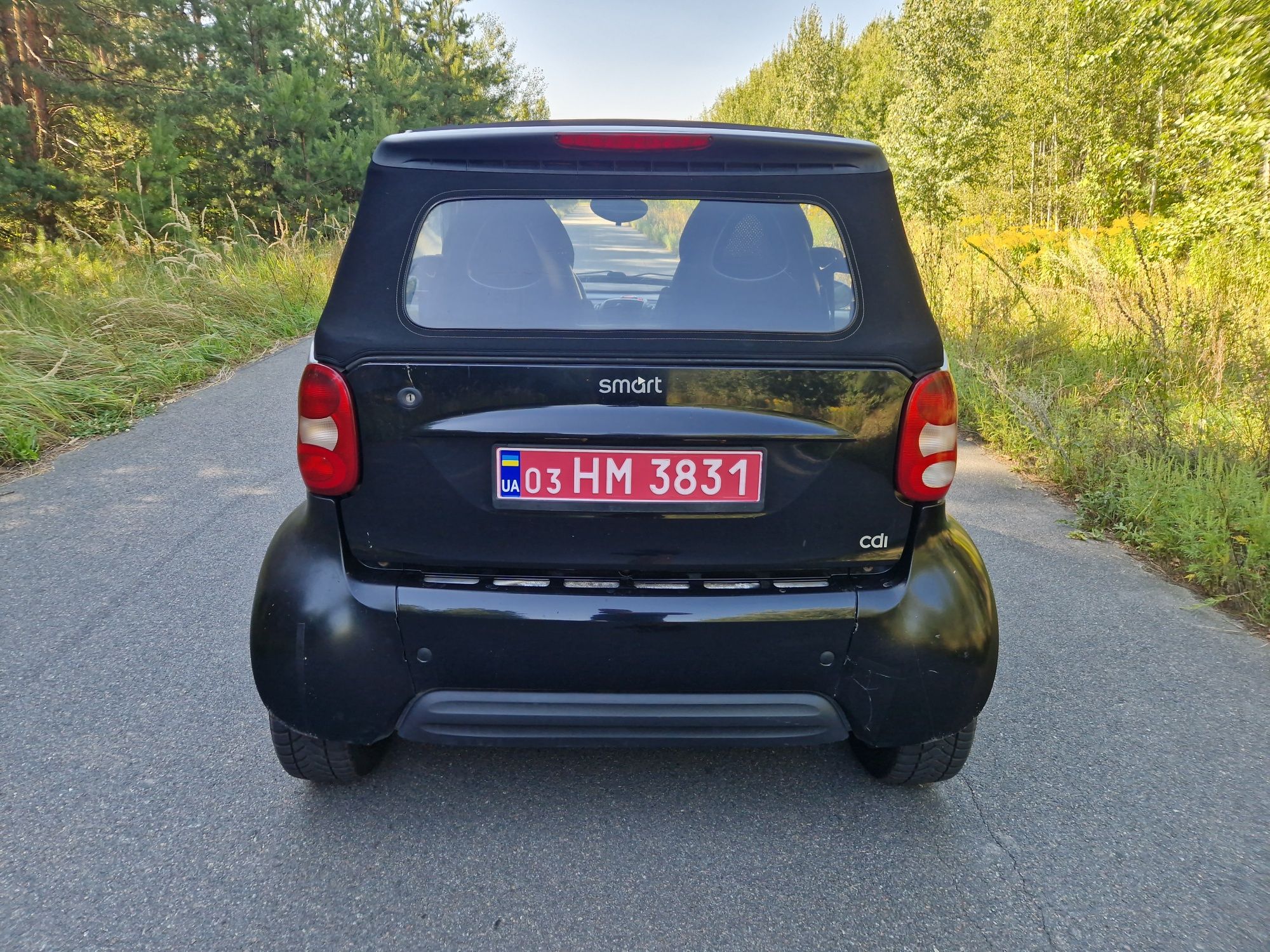 Smart ForTwo Diesel