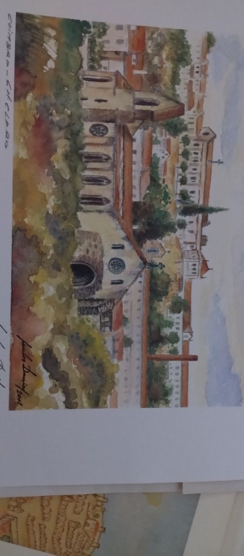 Pinturas de coimbra