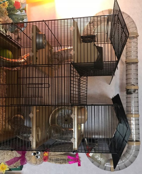 DUŻA KLATKA dla chomika GRATIS ZESTAW domek tunel piętrowa +