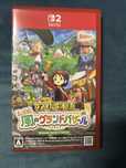 Story of Seasons Grand Bazaar Nintendo Switch 2