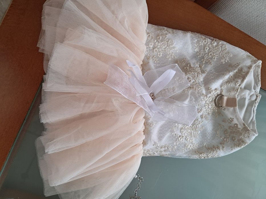 2 Roupinhas de cerimónia para cadelinhas