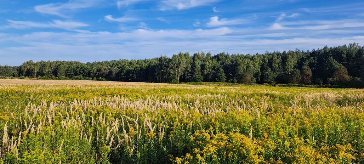 Działka inwestycyjna