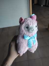 Alpaka lama alpaca cute kawaii alpacasso jfashion