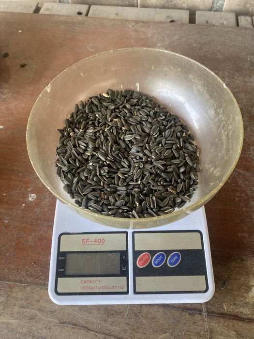 Куплю Відход соняшника та Лушпиння!