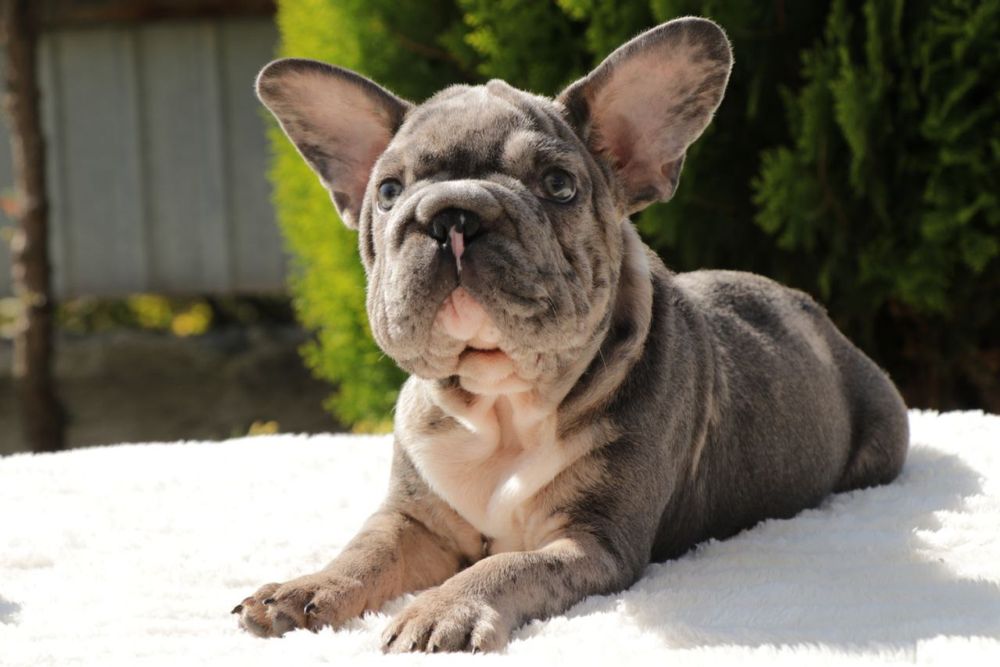 Хлопчик біг роп,доставка обговорюється