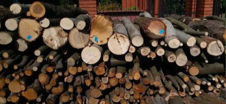 drzewo drewno opałowe mix liściaste, do kominka
