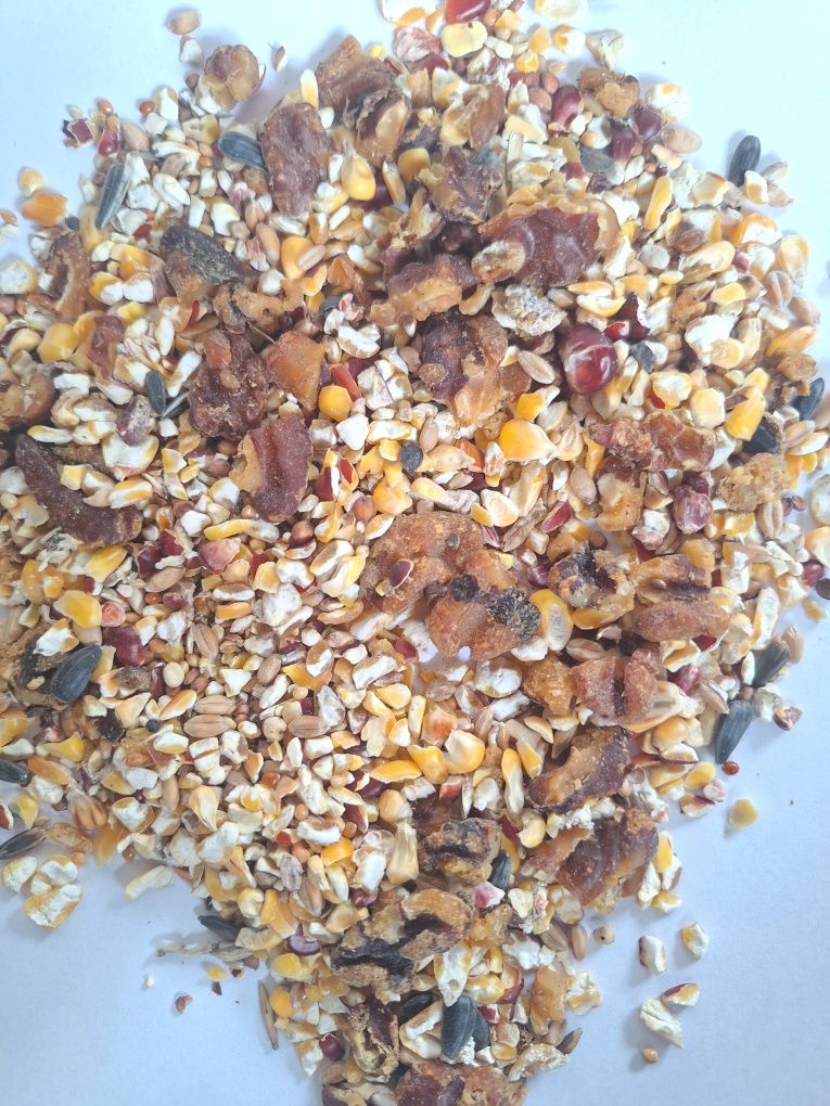 Pokarm do karmnika Danimo ORZECHOWY 1 kg.Dla ptaków zimujących.