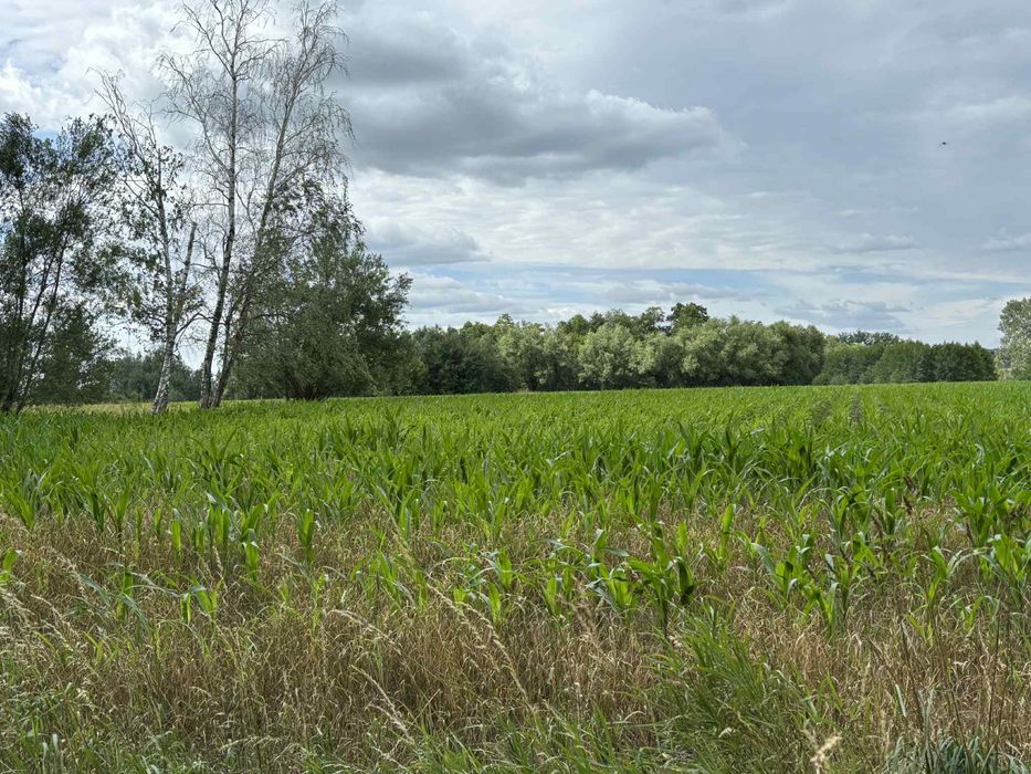 Gospodarstwo Rolne 4,59 ha