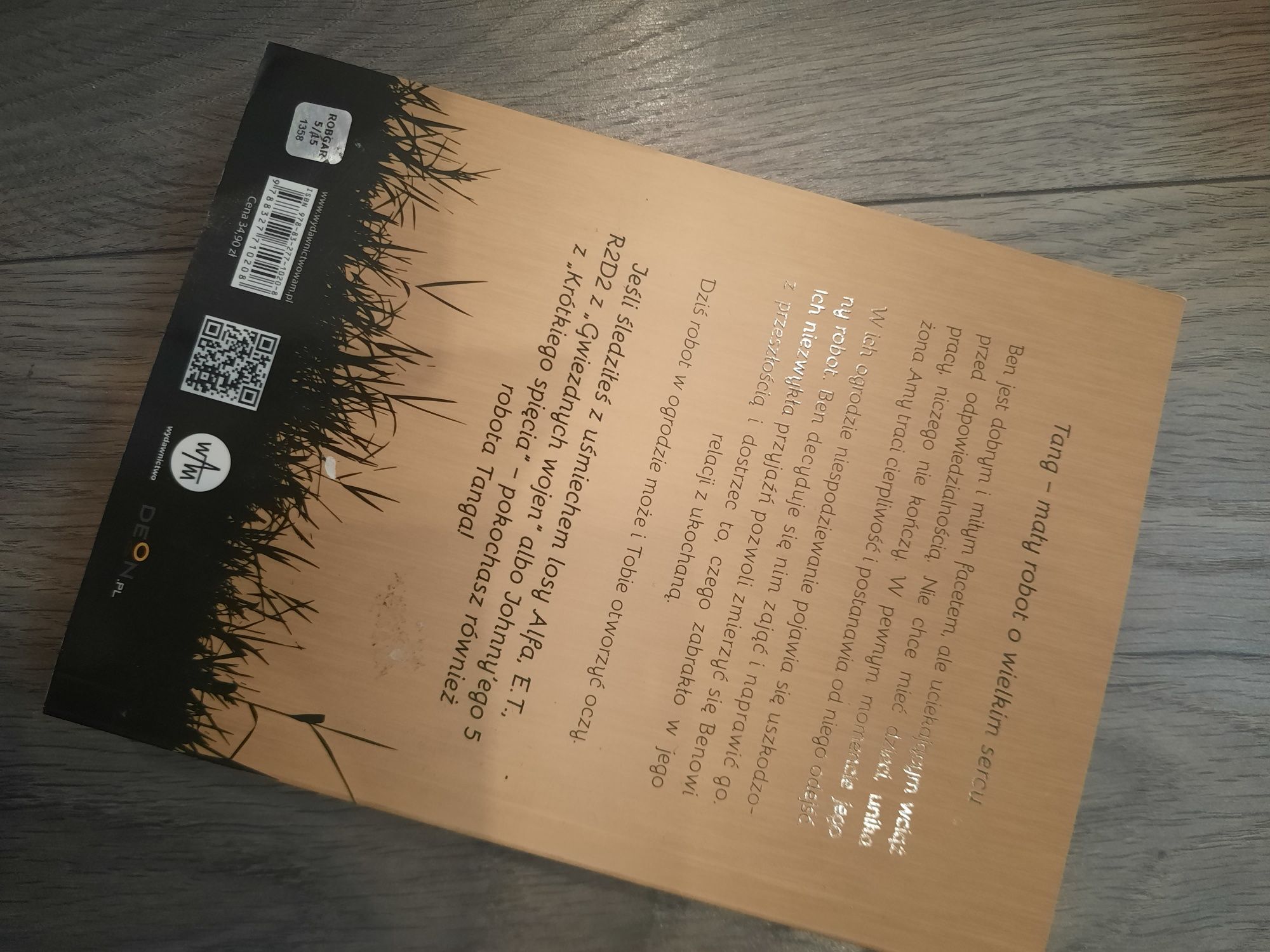 Książka Robot w ogrodzie Deborah Install