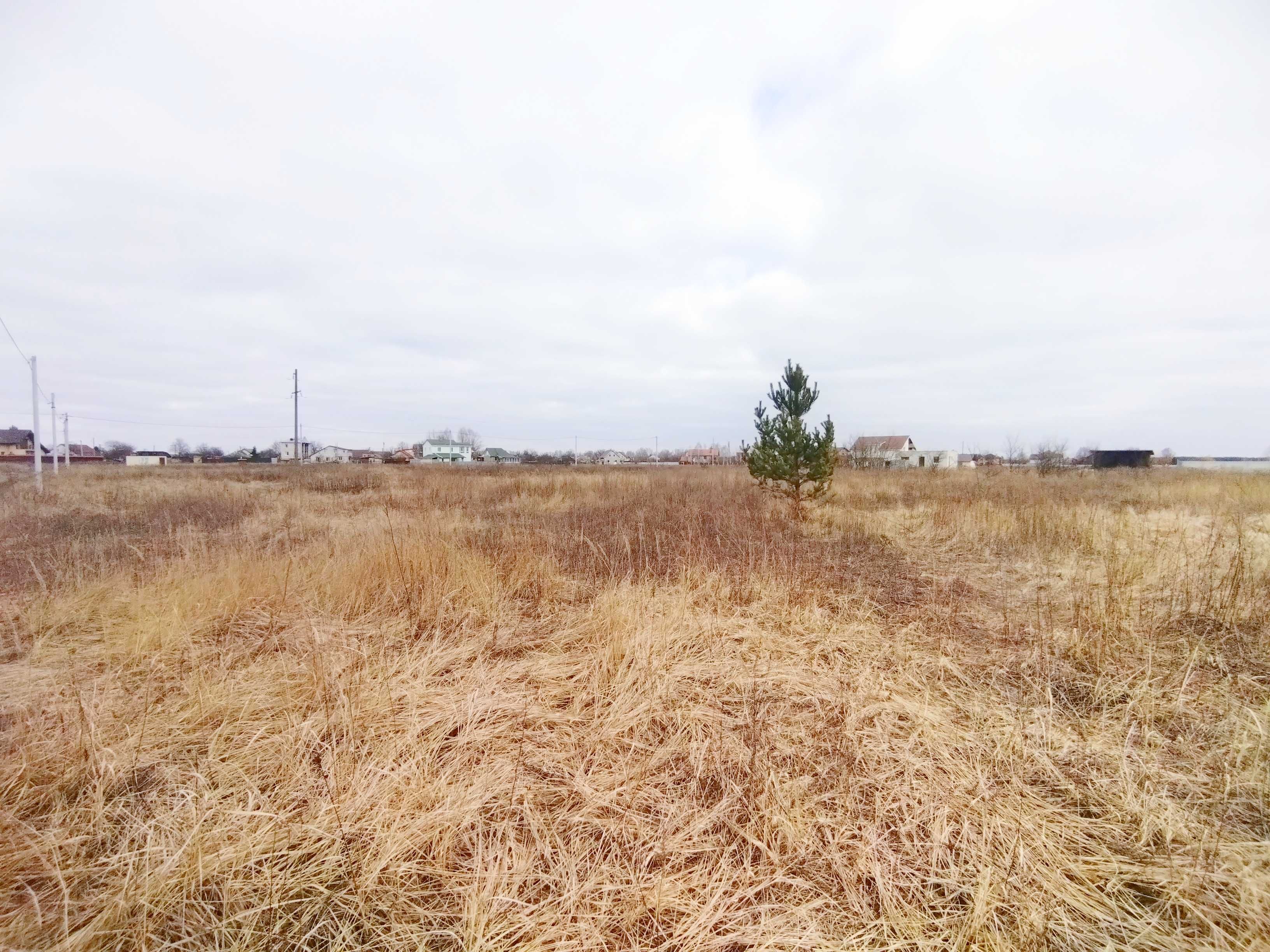 Продам земельну ділянку під забудову, Рожни, Десна, ліс