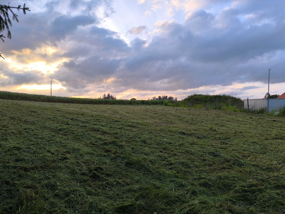 Koszenie nieużytków traw łąk farm fotowoltaicznych