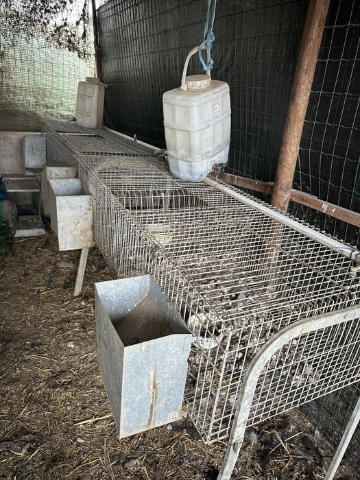 Coelheiras para coelhos ou outros animais