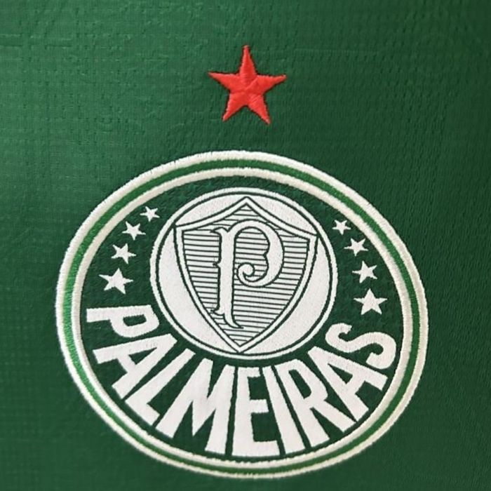 Camisola Palmeiras 25/26 

Vários Clubes 
Mais disponíveis pedir fo