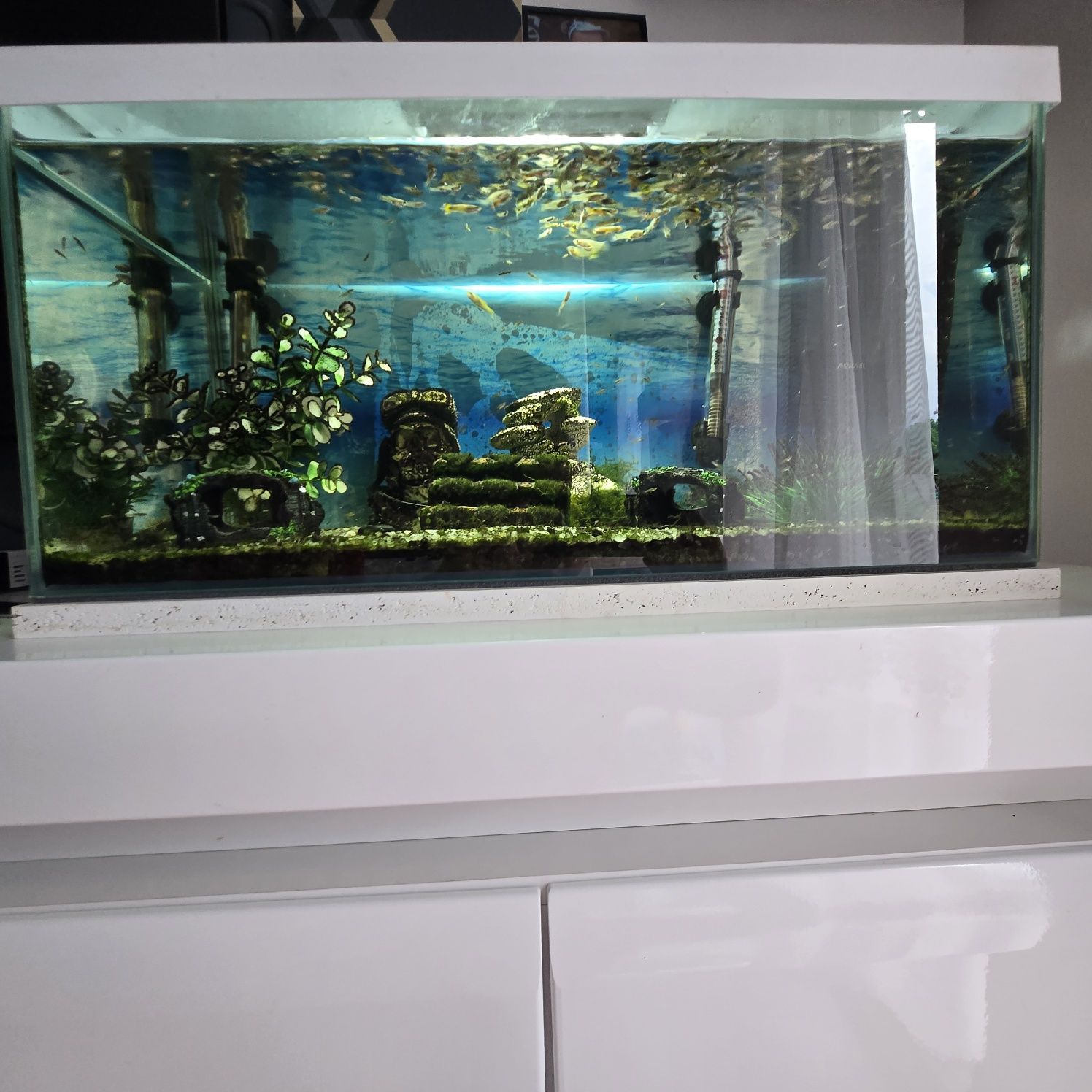 Białe Panoramiczne 60l