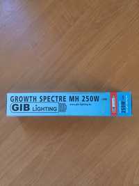 Лампа GIB Lighting Growth Spectre MH 250w у пів ціни нова.