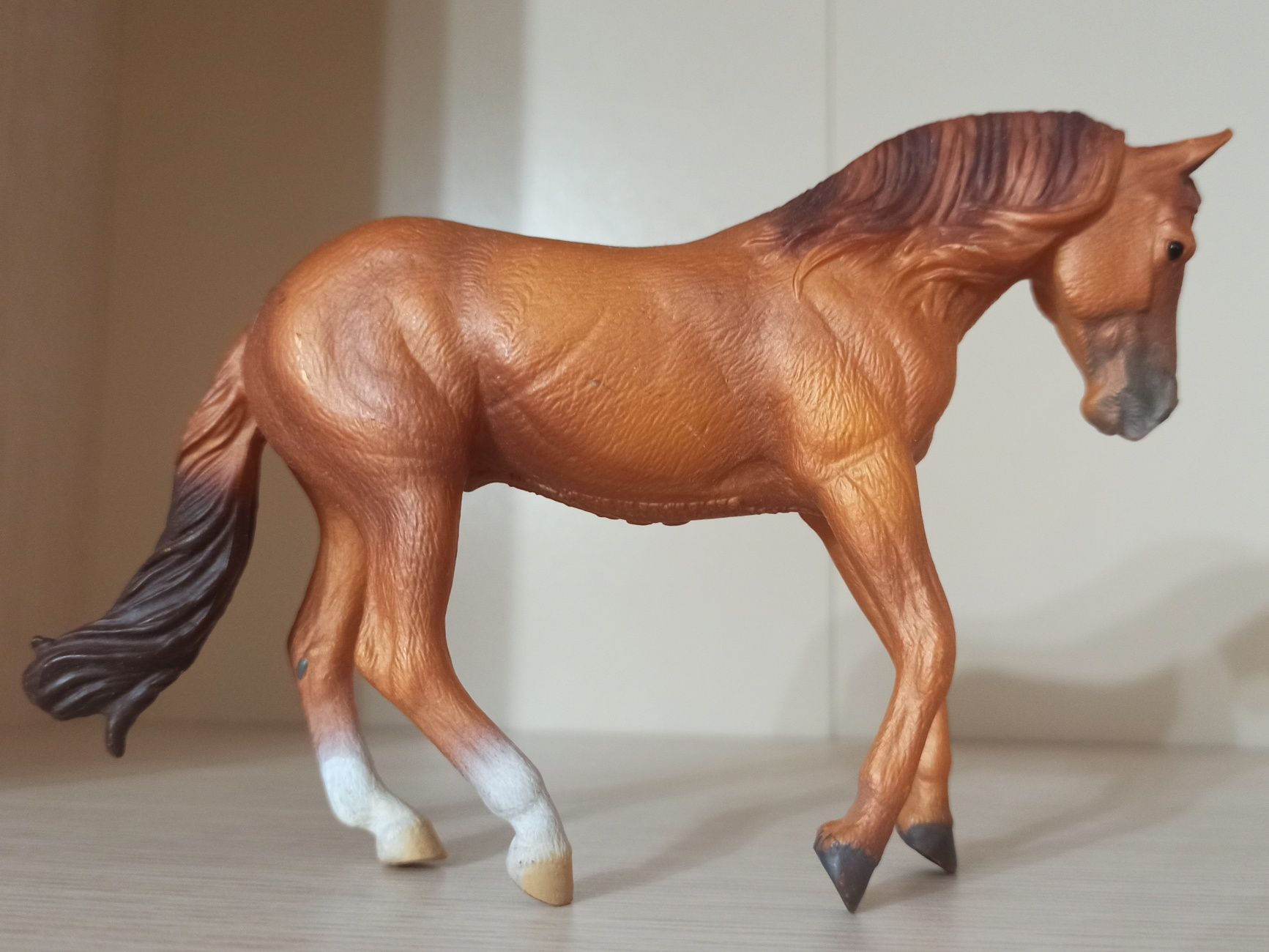 Ogier Australian Stock Horse Collecta