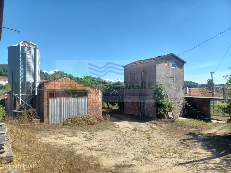 Terreno Com Viabilidade De Construção Localizado Na Senhorinha