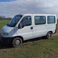 Fiat Ducato Panorama 9 osób