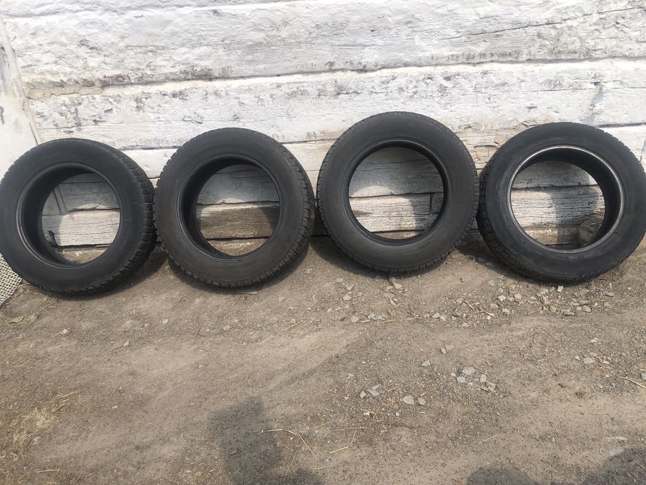 Продам ризину р14 зима