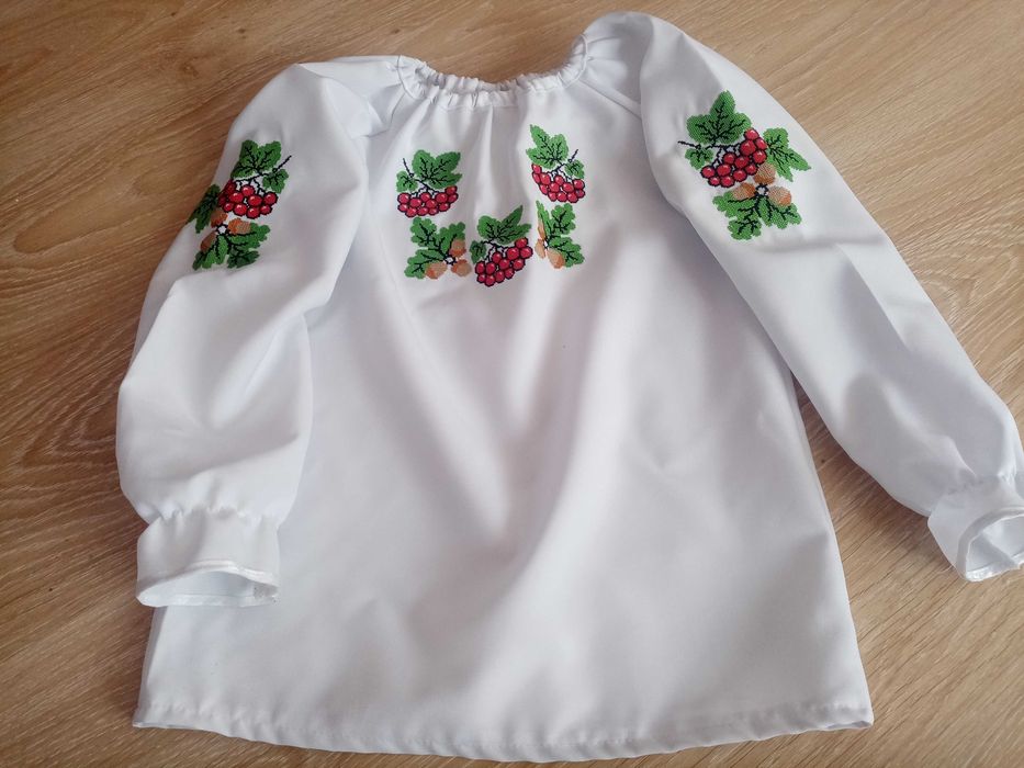 Комплект вишиванка та спідничка